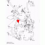 Патрубок, Шлангочки